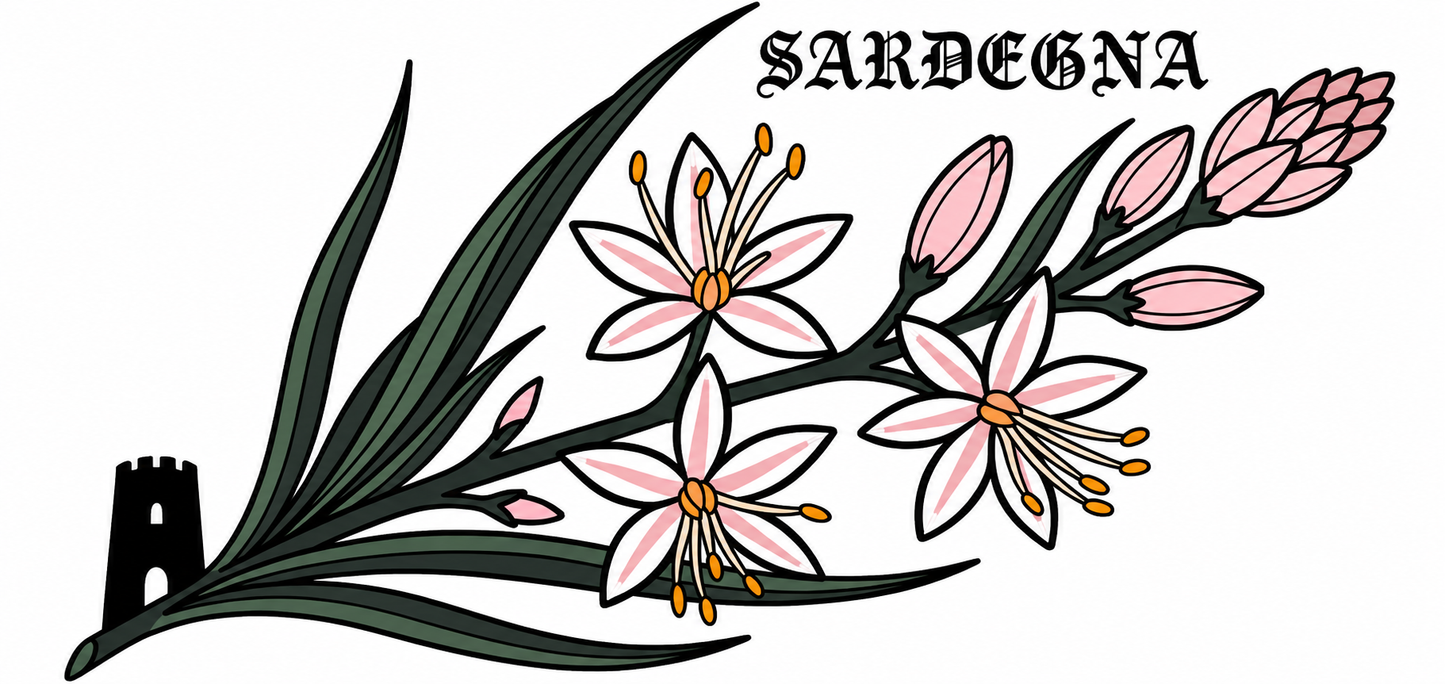 Asfodelo di Sardegna